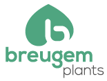 Breugemplants Logo